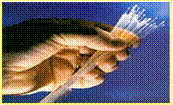 fiberb